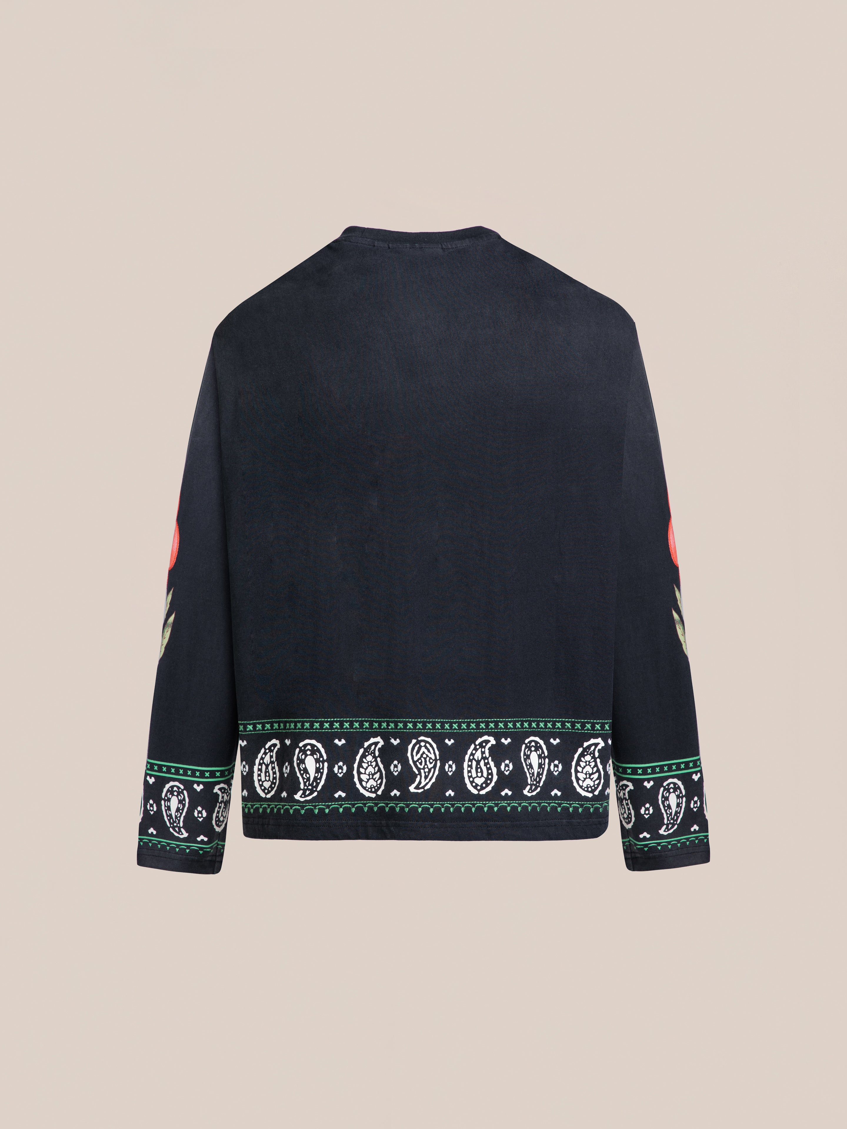 The FOUND Garden Bloom Embroidered LS Tee is a black long-sleeve with a relaxed fit, white and green patterned hem and cuffs, and red floral embroidery on the sleeves, shown from the back.