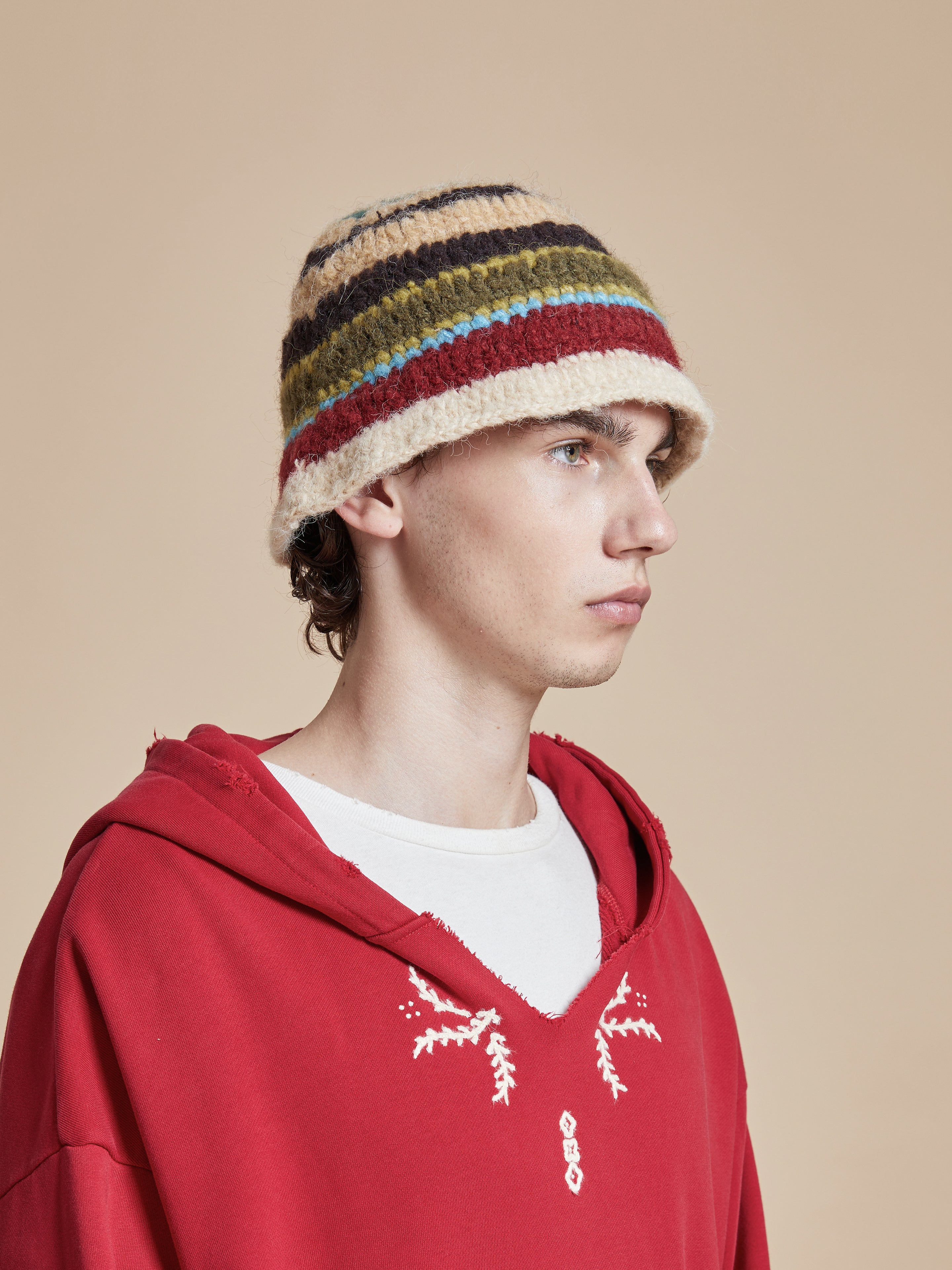 Stripe Knit Beanie